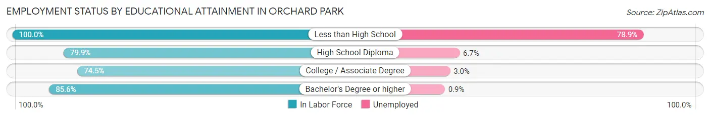 Employment Status by Educational Attainment in Orchard Park
