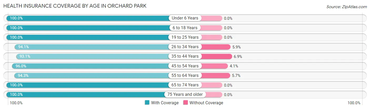 Health Insurance Coverage by Age in Orchard Park