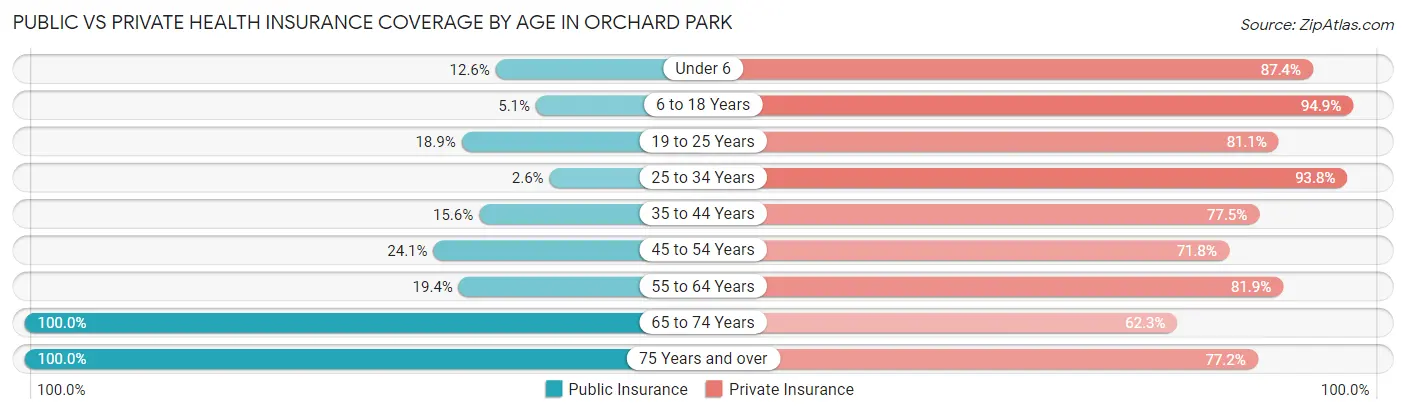 Public vs Private Health Insurance Coverage by Age in Orchard Park