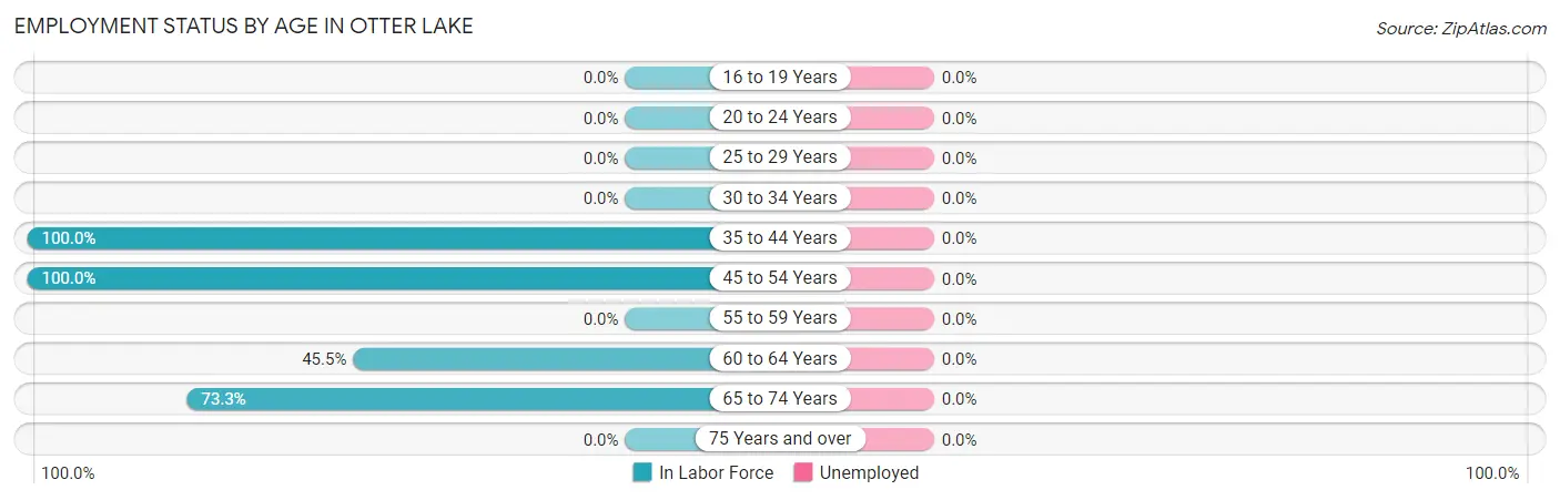 Employment Status by Age in Otter Lake