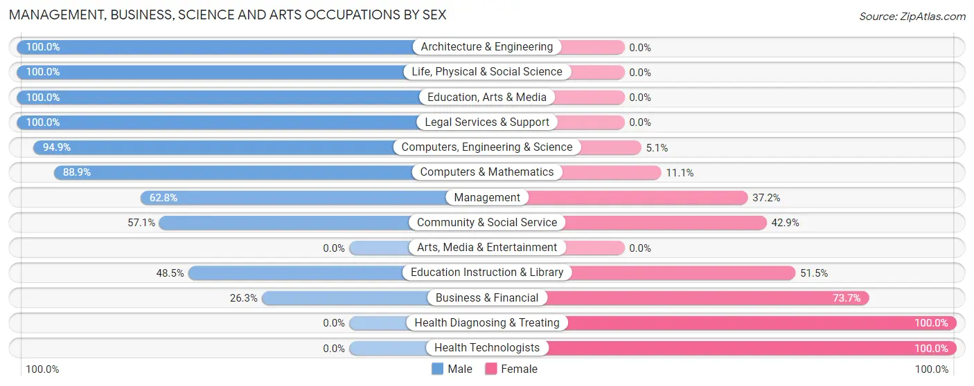 Management, Business, Science and Arts Occupations by Sex in Painted Post