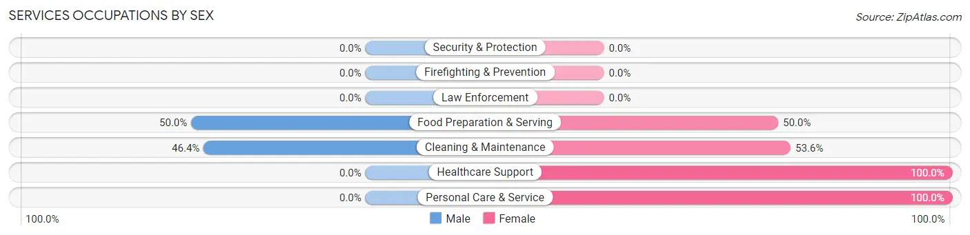 Services Occupations by Sex in Painted Post