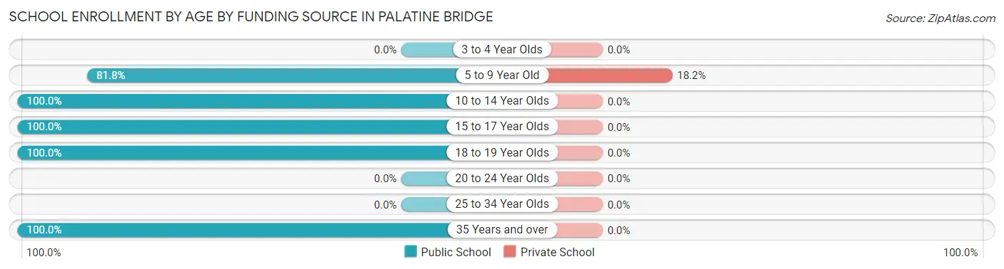 School Enrollment by Age by Funding Source in Palatine Bridge