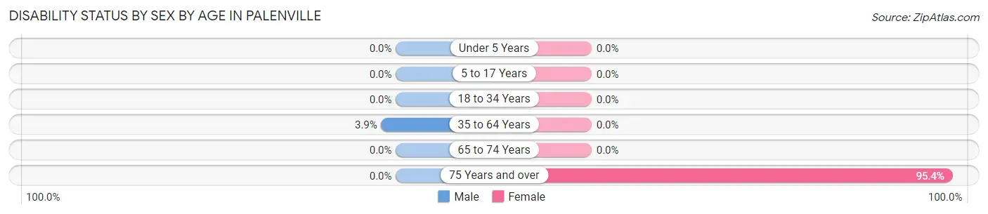 Disability Status by Sex by Age in Palenville