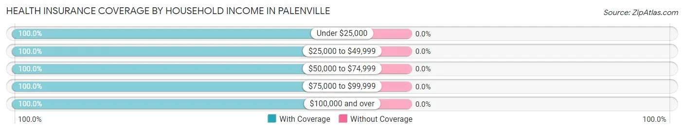 Health Insurance Coverage by Household Income in Palenville