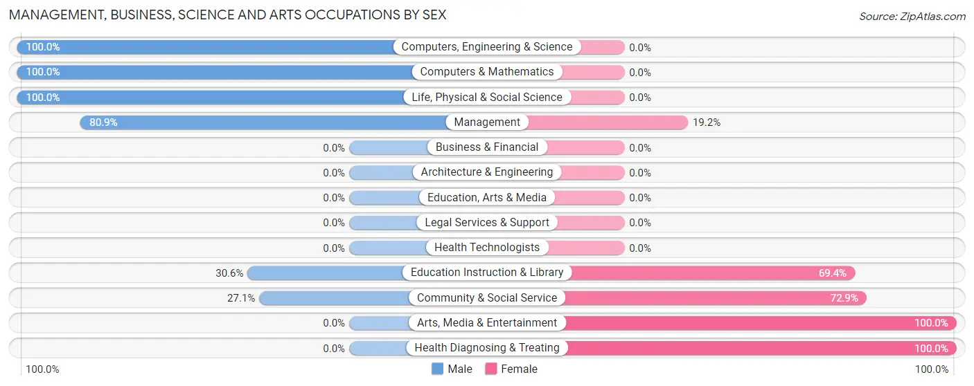 Management, Business, Science and Arts Occupations by Sex in Palenville