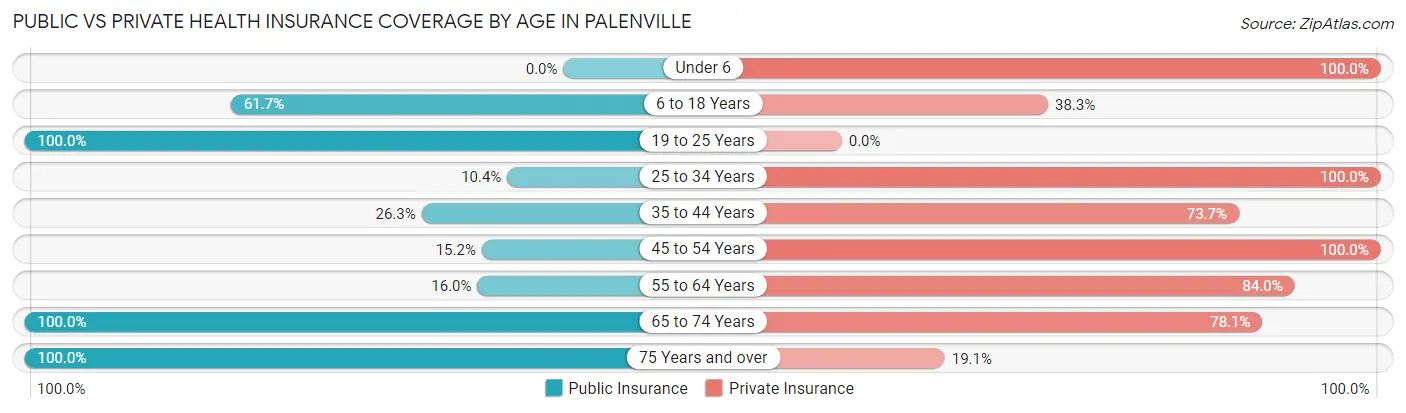 Public vs Private Health Insurance Coverage by Age in Palenville