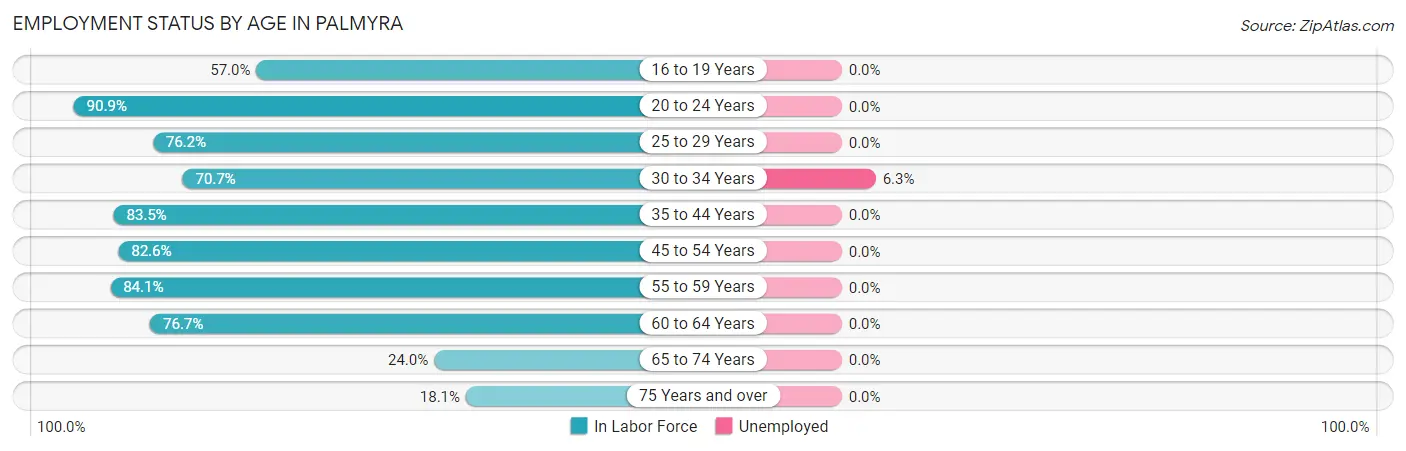 Employment Status by Age in Palmyra