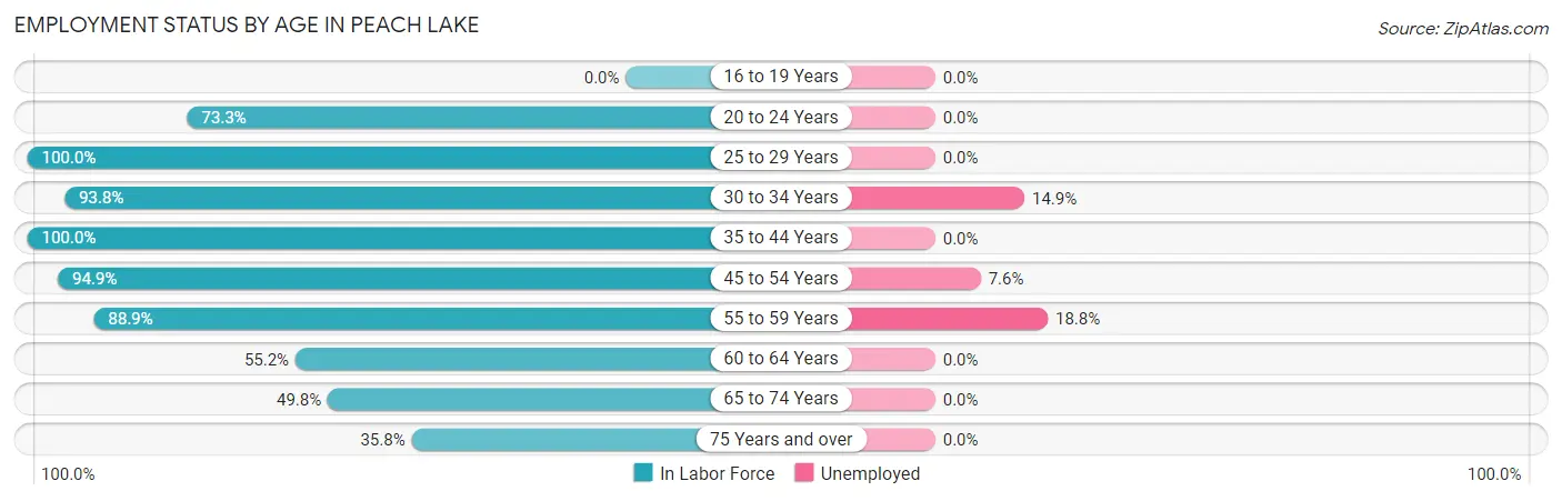 Employment Status by Age in Peach Lake