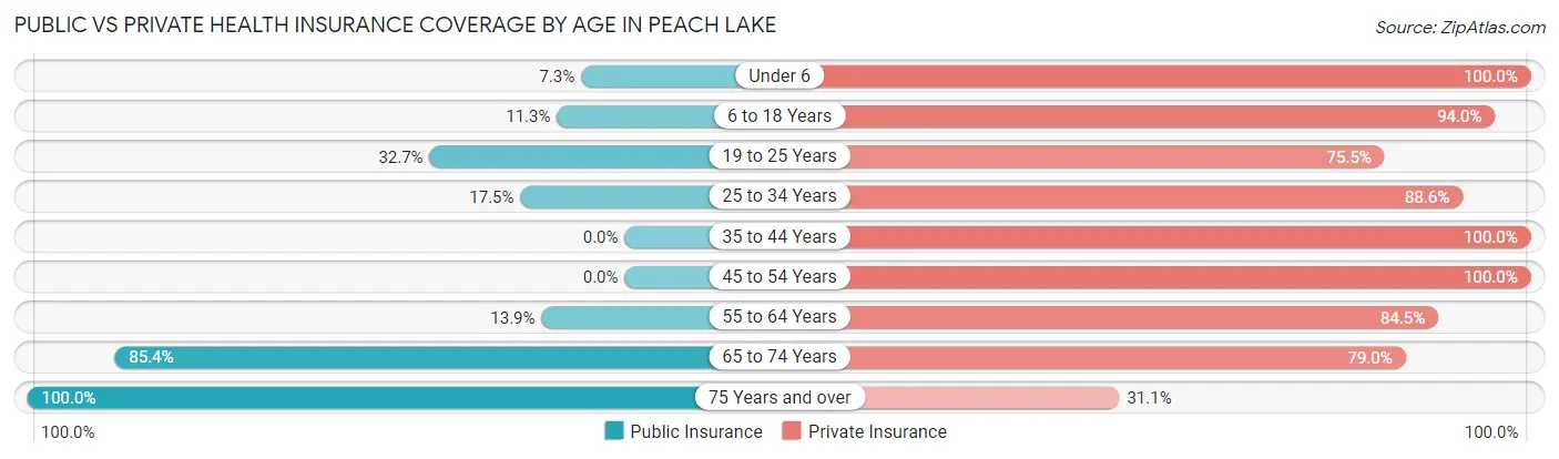 Public vs Private Health Insurance Coverage by Age in Peach Lake