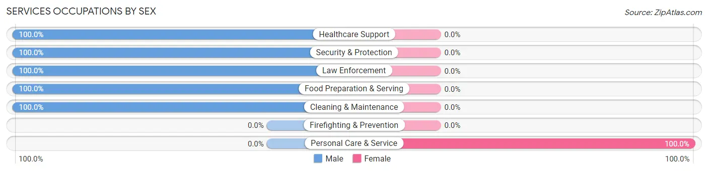 Services Occupations by Sex in Piermont