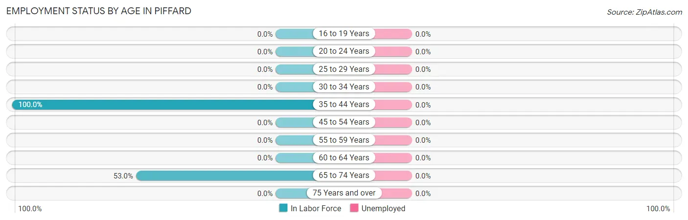 Employment Status by Age in Piffard