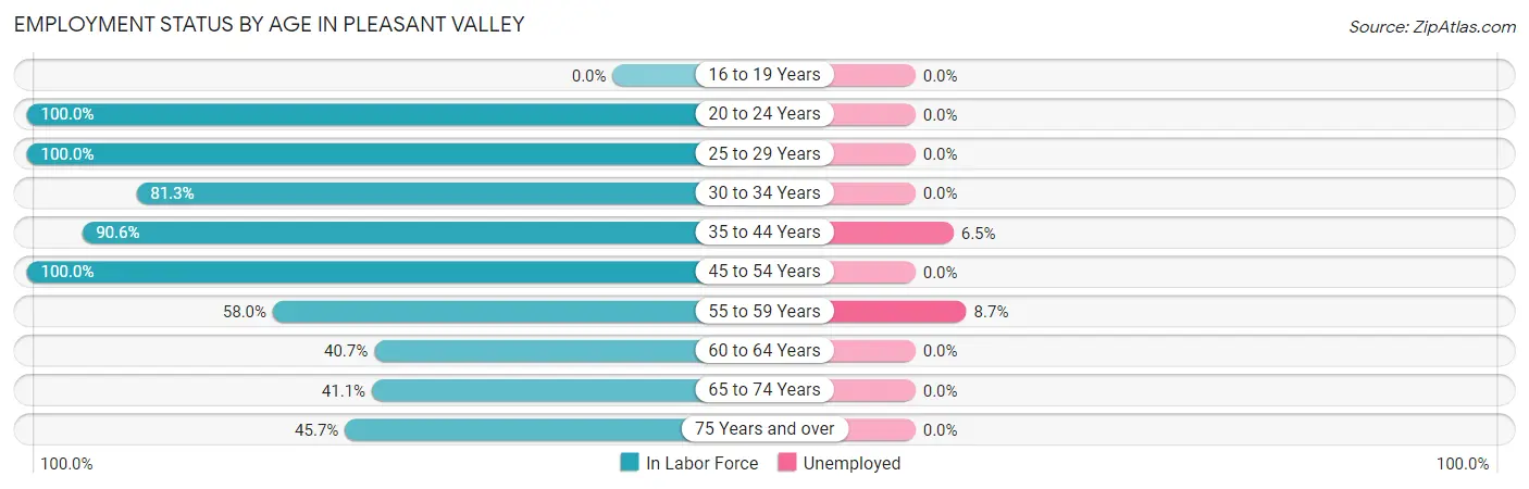 Employment Status by Age in Pleasant Valley