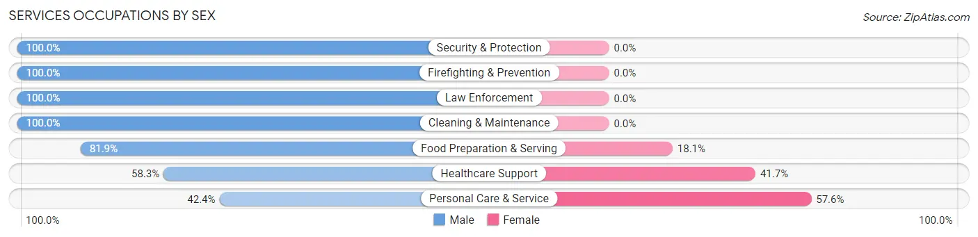 Services Occupations by Sex in Port Jefferson