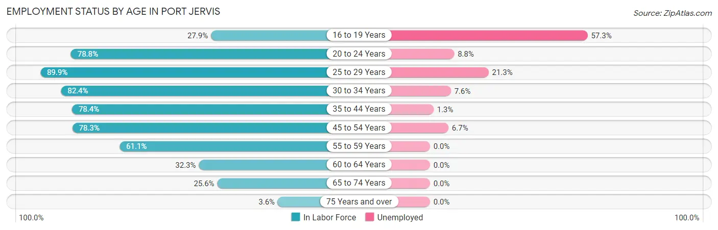 Employment Status by Age in Port Jervis