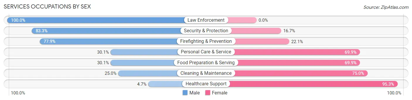 Services Occupations by Sex in Port Jervis