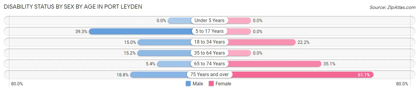 Disability Status by Sex by Age in Port Leyden