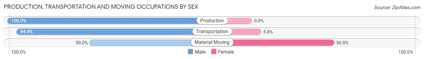 Production, Transportation and Moving Occupations by Sex in Portville