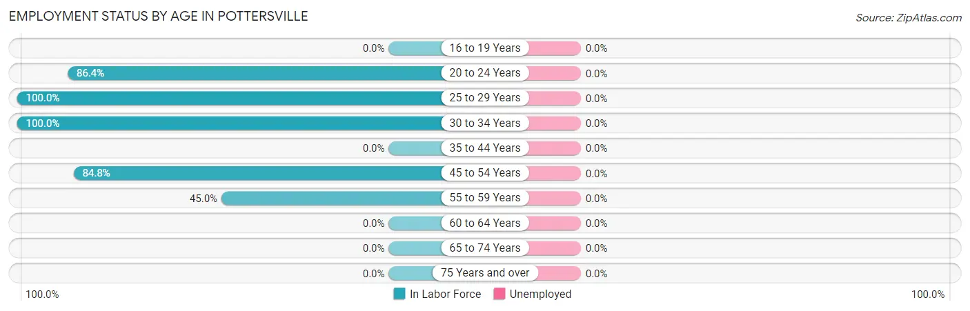 Employment Status by Age in Pottersville