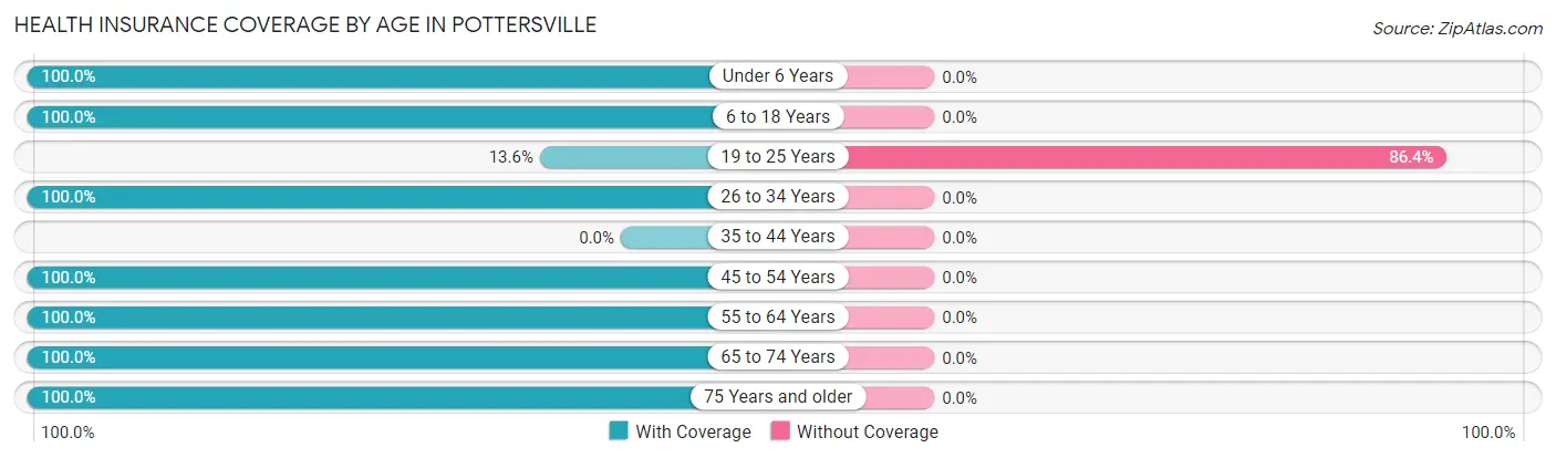 Health Insurance Coverage by Age in Pottersville