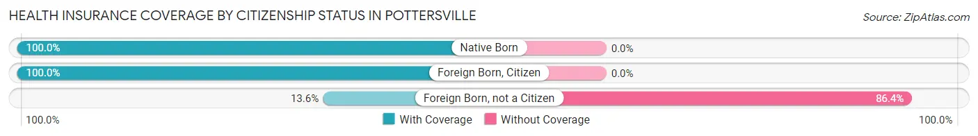 Health Insurance Coverage by Citizenship Status in Pottersville