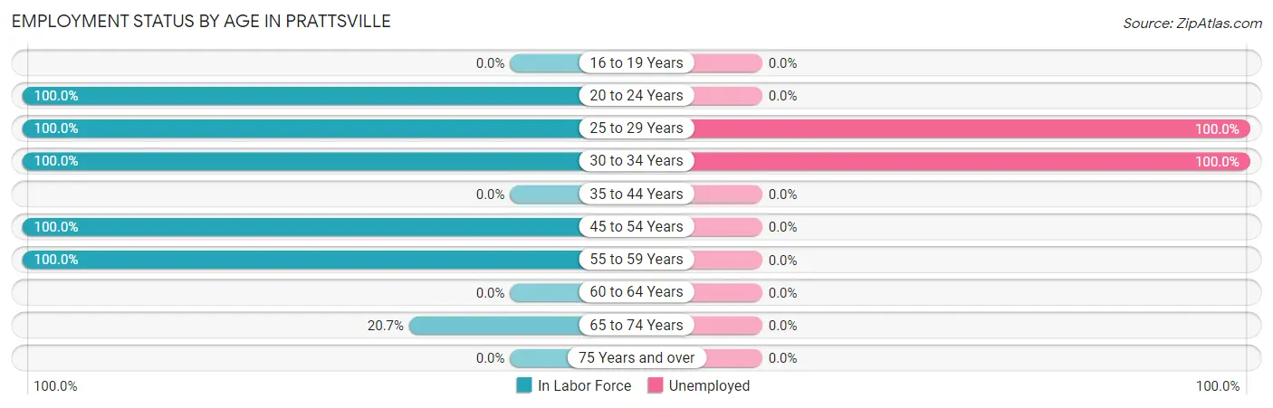 Employment Status by Age in Prattsville