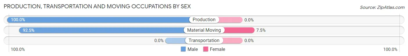 Production, Transportation and Moving Occupations by Sex in Ransomville