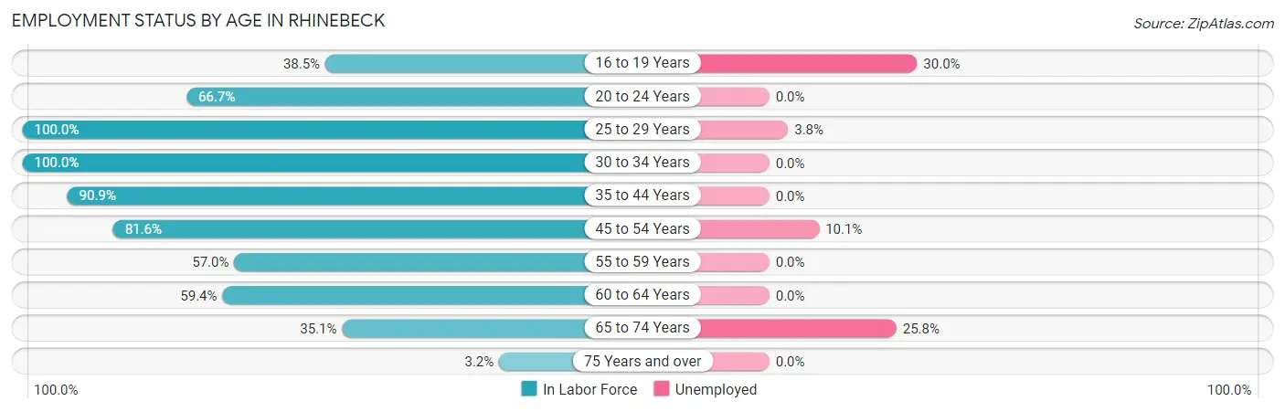 Employment Status by Age in Rhinebeck