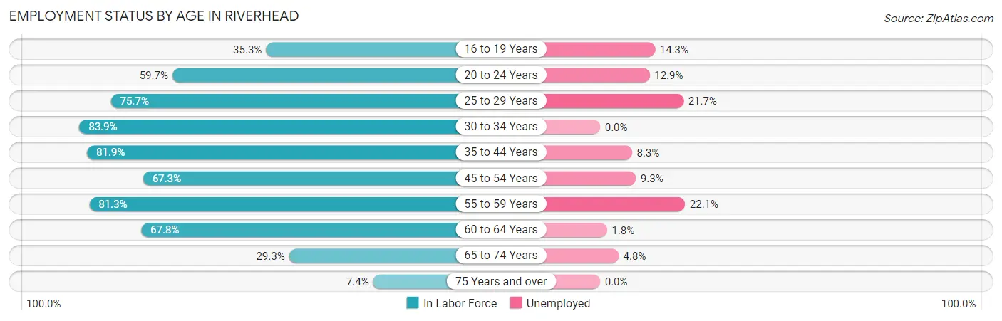 Employment Status by Age in Riverhead