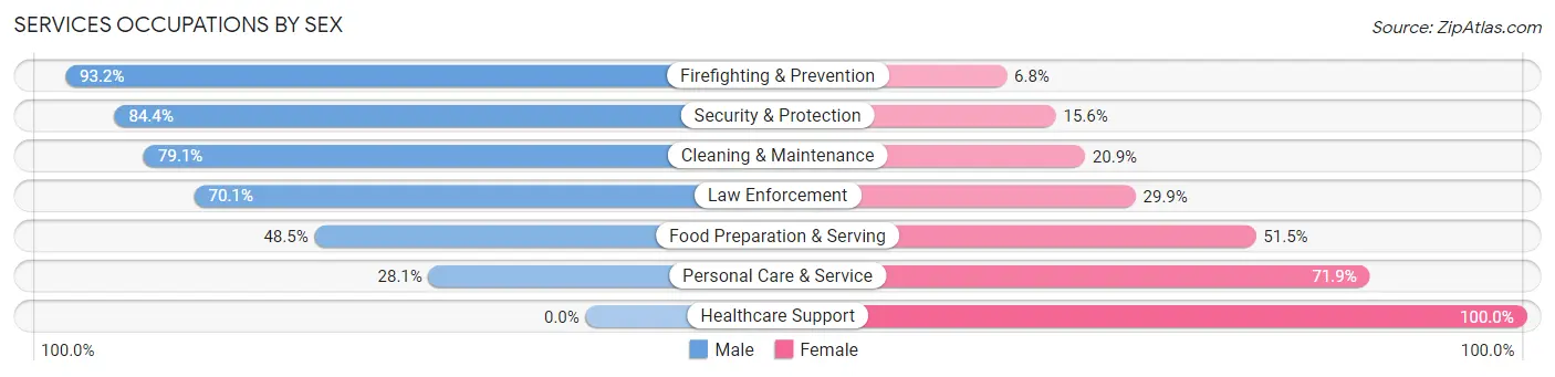 Services Occupations by Sex in Rockville Centre