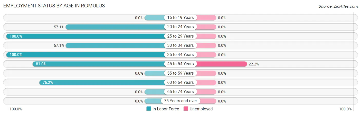 Employment Status by Age in Romulus