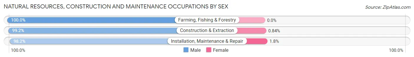 Natural Resources, Construction and Maintenance Occupations by Sex in Ronkonkoma