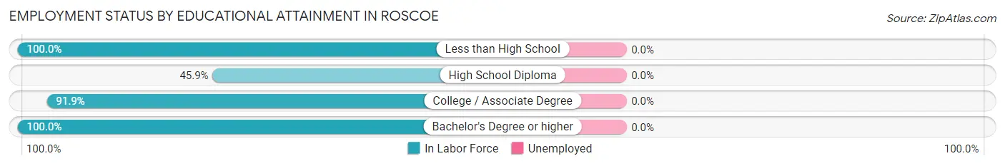 Employment Status by Educational Attainment in Roscoe
