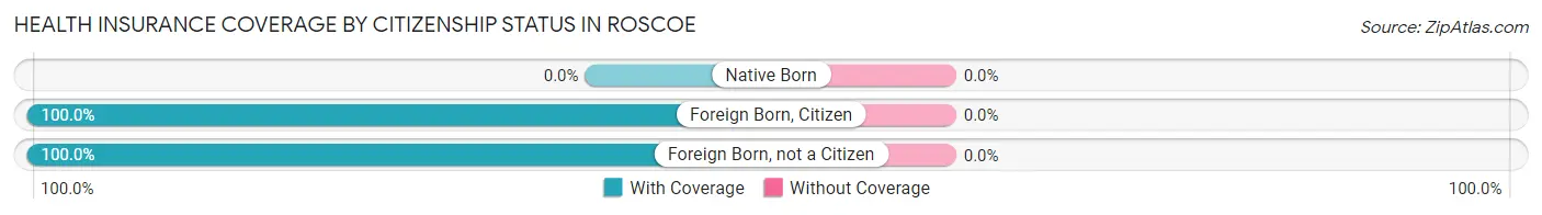 Health Insurance Coverage by Citizenship Status in Roscoe