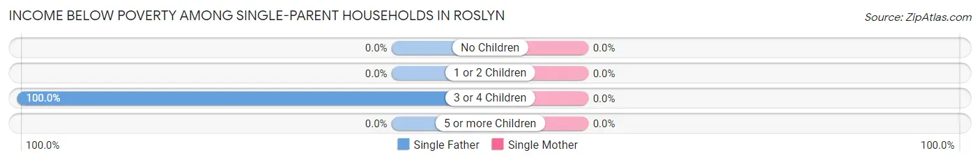 Income Below Poverty Among Single-Parent Households in Roslyn