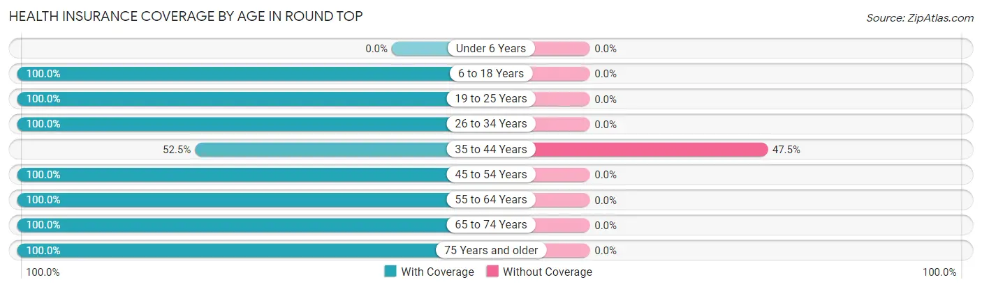 Health Insurance Coverage by Age in Round Top