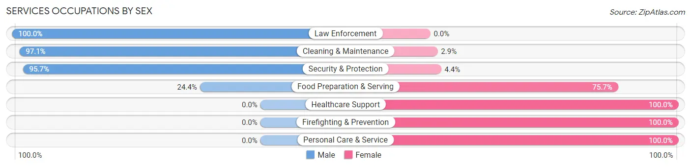 Services Occupations by Sex in Rouses Point