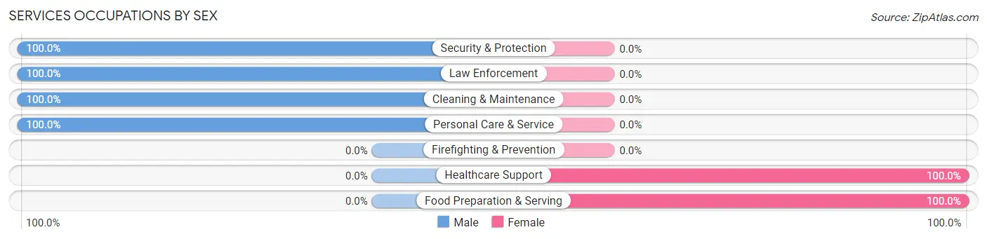 Services Occupations by Sex in Salem