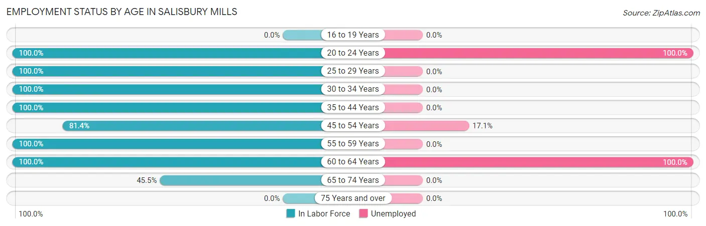 Employment Status by Age in Salisbury Mills