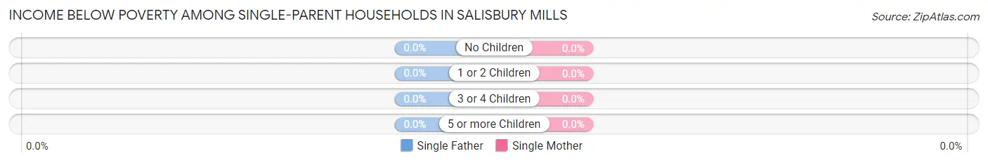 Income Below Poverty Among Single-Parent Households in Salisbury Mills