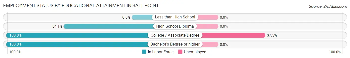 Employment Status by Educational Attainment in Salt Point
