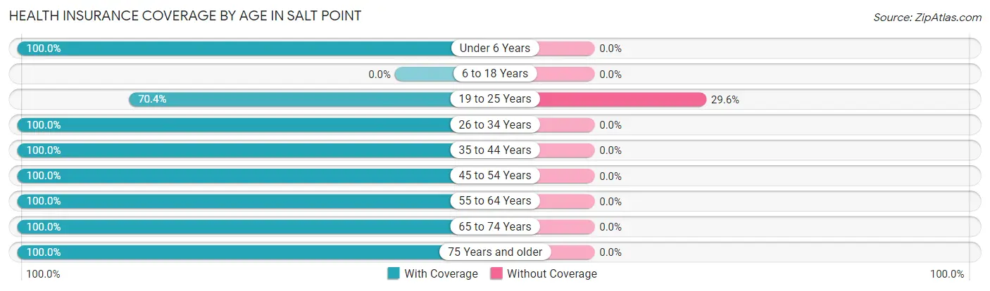Health Insurance Coverage by Age in Salt Point