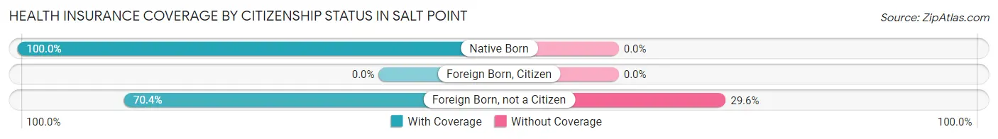 Health Insurance Coverage by Citizenship Status in Salt Point
