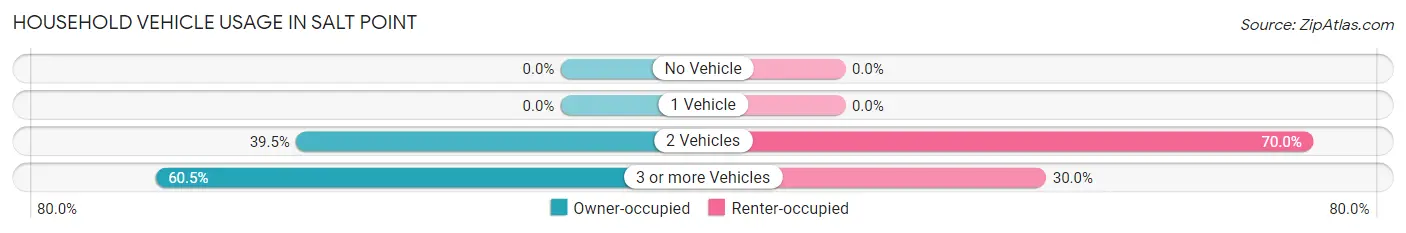 Household Vehicle Usage in Salt Point