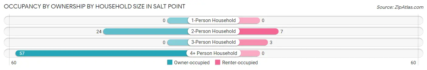 Occupancy by Ownership by Household Size in Salt Point