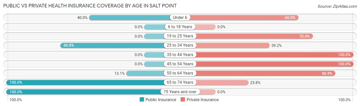 Public vs Private Health Insurance Coverage by Age in Salt Point