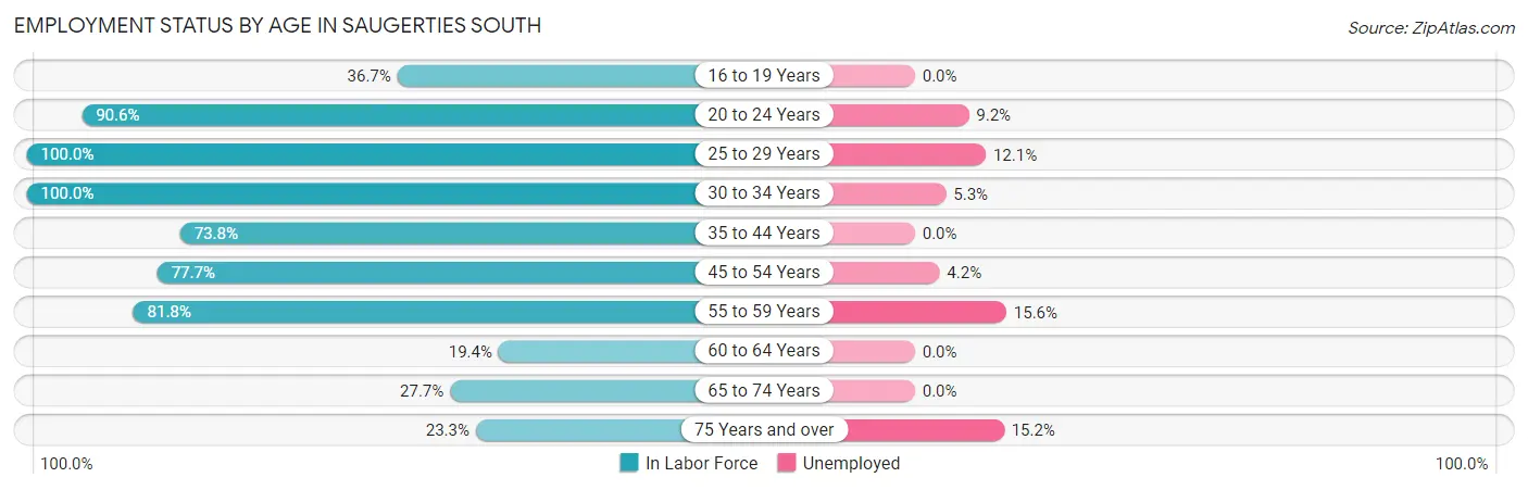 Employment Status by Age in Saugerties South