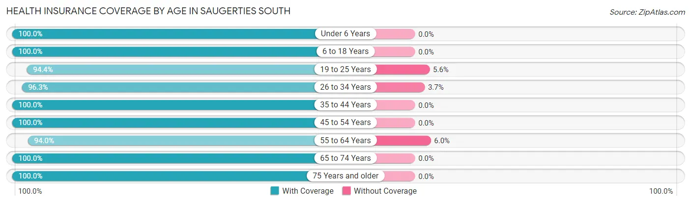 Health Insurance Coverage by Age in Saugerties South