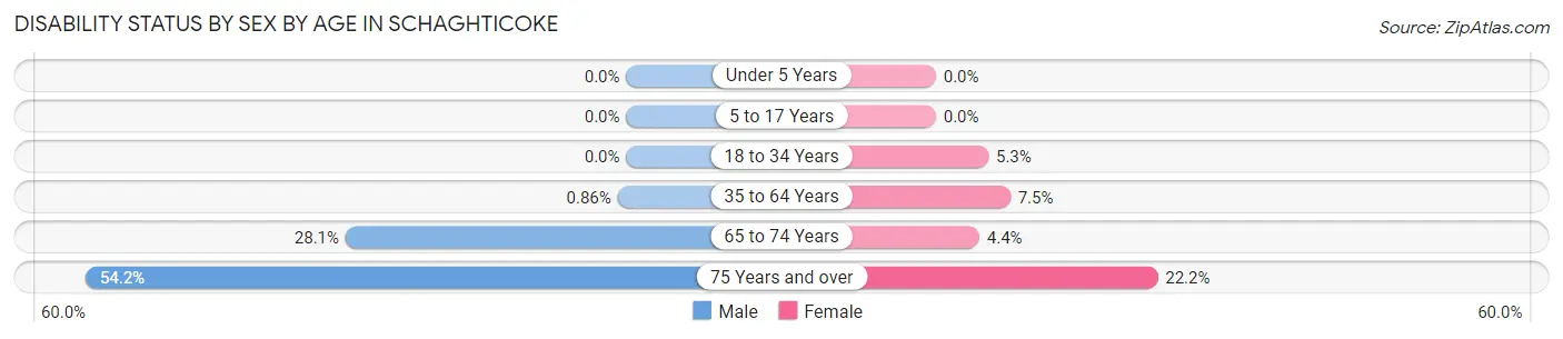 Disability Status by Sex by Age in Schaghticoke