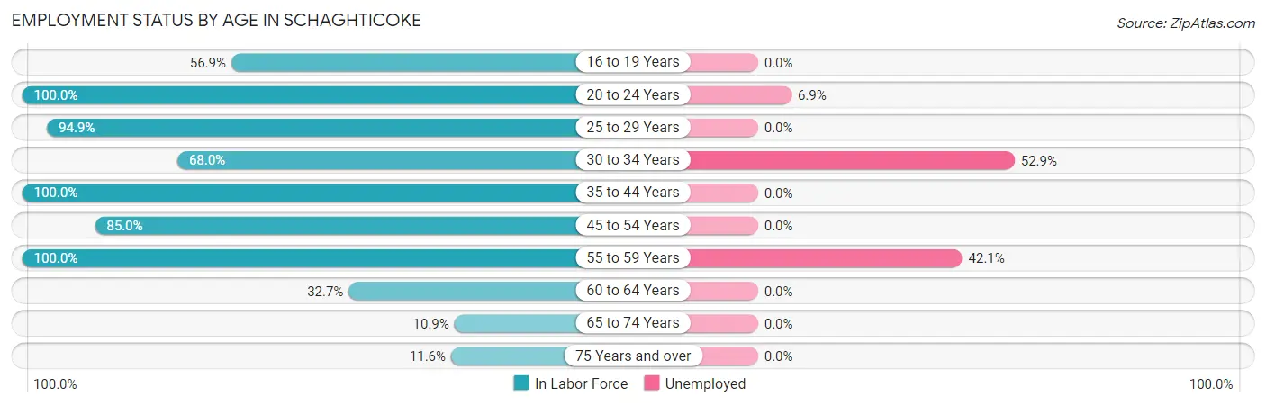 Employment Status by Age in Schaghticoke
